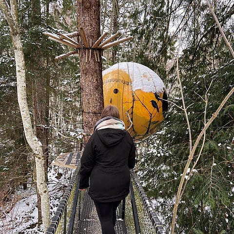 Experience a different kind of treehouse